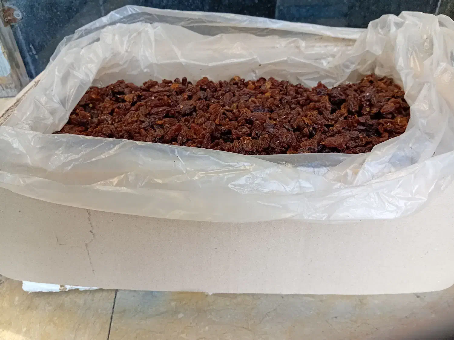 کشمش|خوردنی و آشامیدنی|اندیشه, اندیشه فاز ۱|دیوار