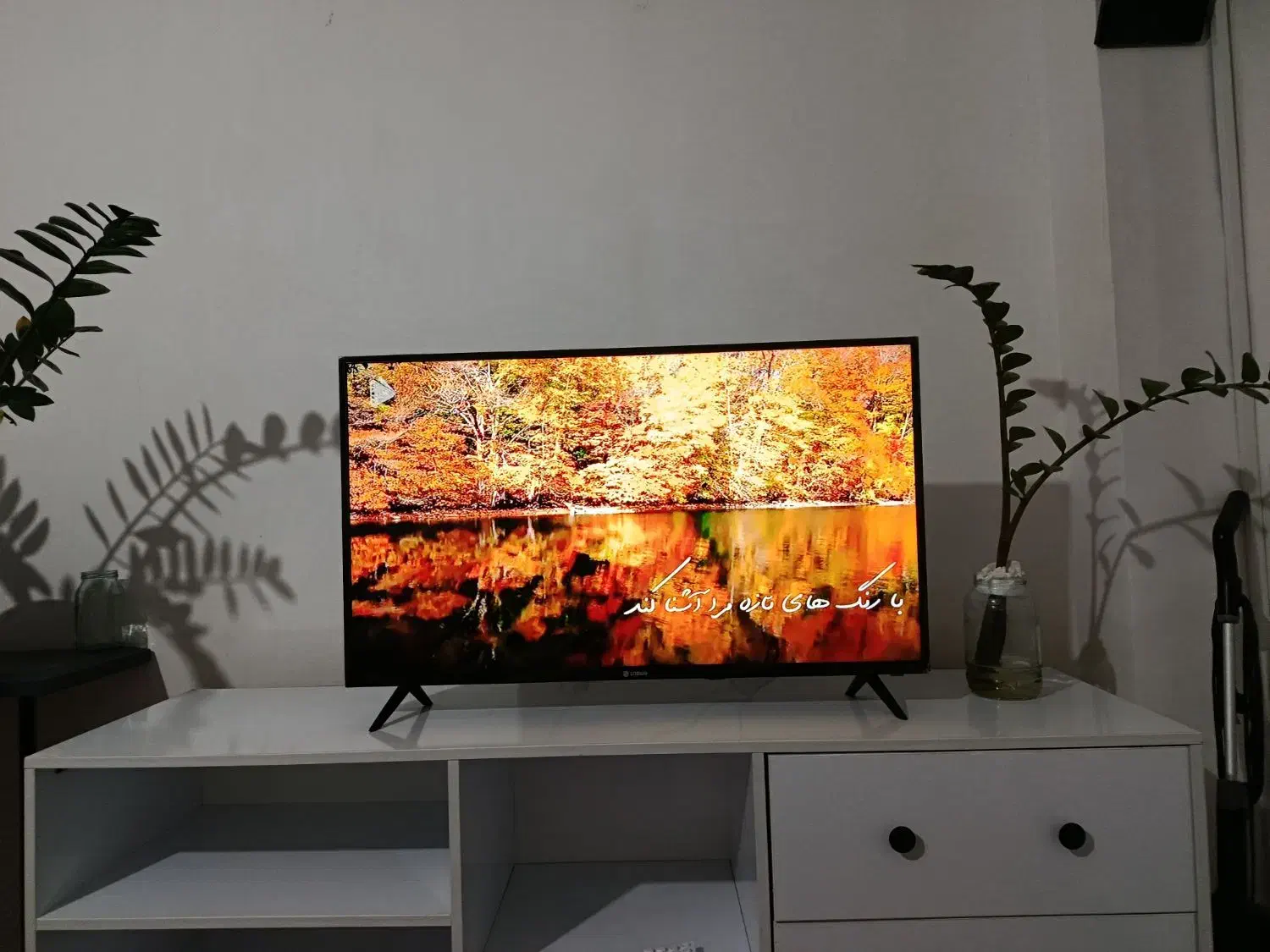 تلوزیون 43اسنوا|تلویزیون و پروژکتور|اردبیل, |دیوار