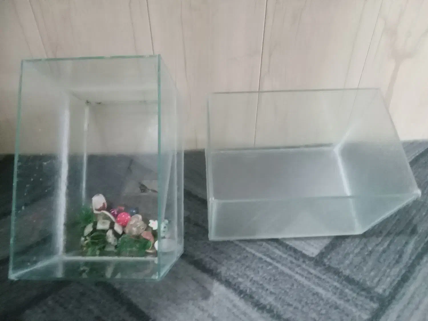 آکواریم چهار عدد سالم|ماهی|مشهد, رده|دیوار