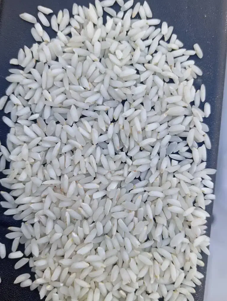 فروش برنج عنبربو دانه بلند محصول امسال|خوردنی و آشامیدنی|قم, علی آباد سعدگان|دیوار