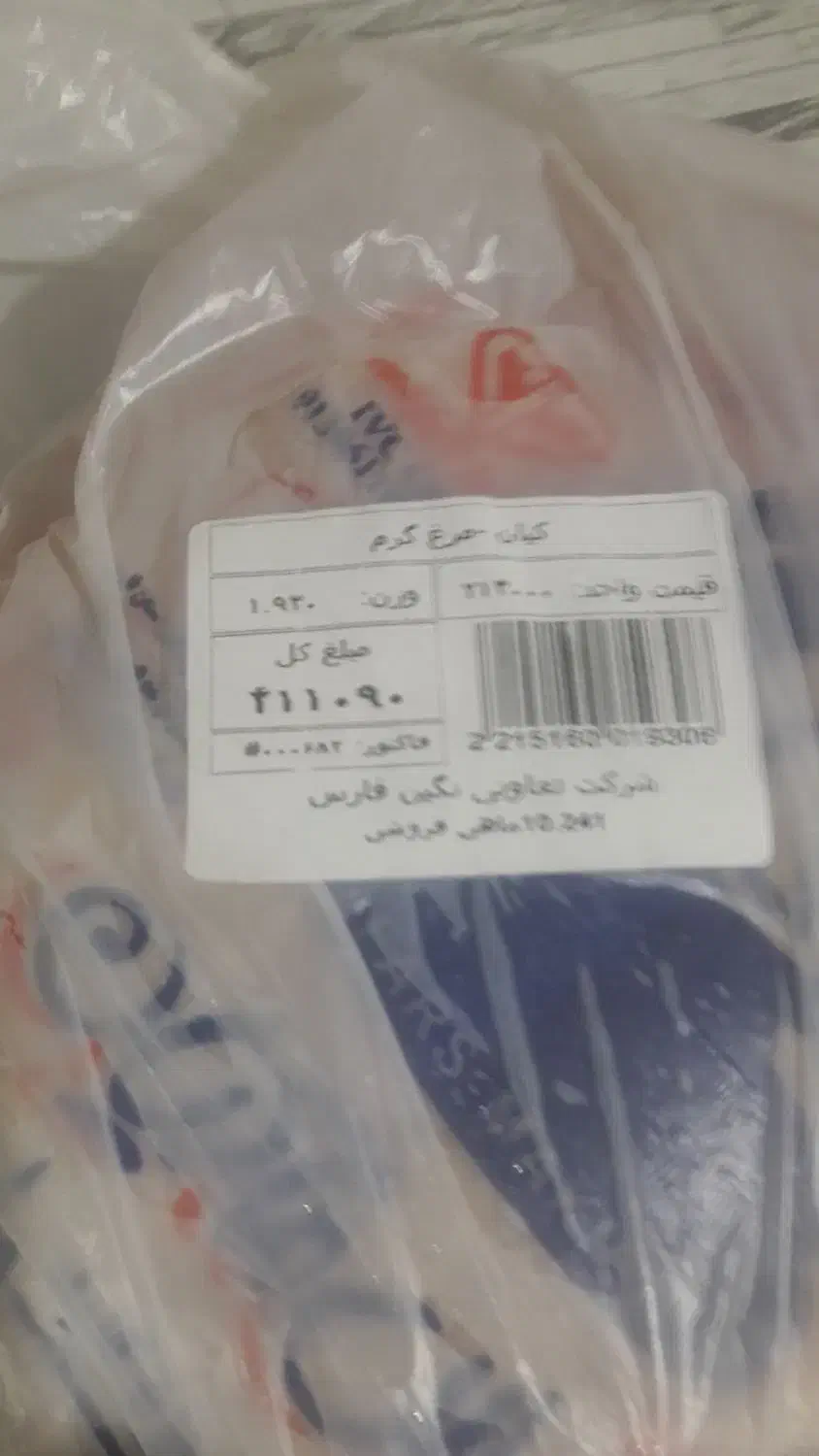 مرغ پیدا شده|حیوانات|شیراز, کوشک میدان|دیوار