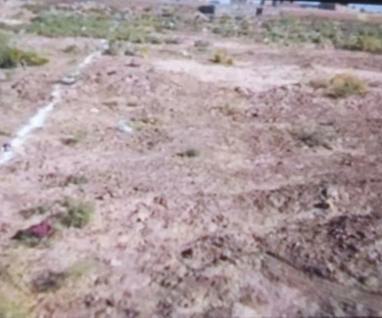 زمین مسکونی در بیدخون|فروش زمین و ملک کلنگی|عسلویه, |دیوار