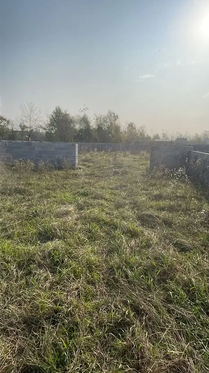 زمین باغی 260متری|فروش زمین و ملک کلنگی|رشت, گلباغ نماز|دیوار