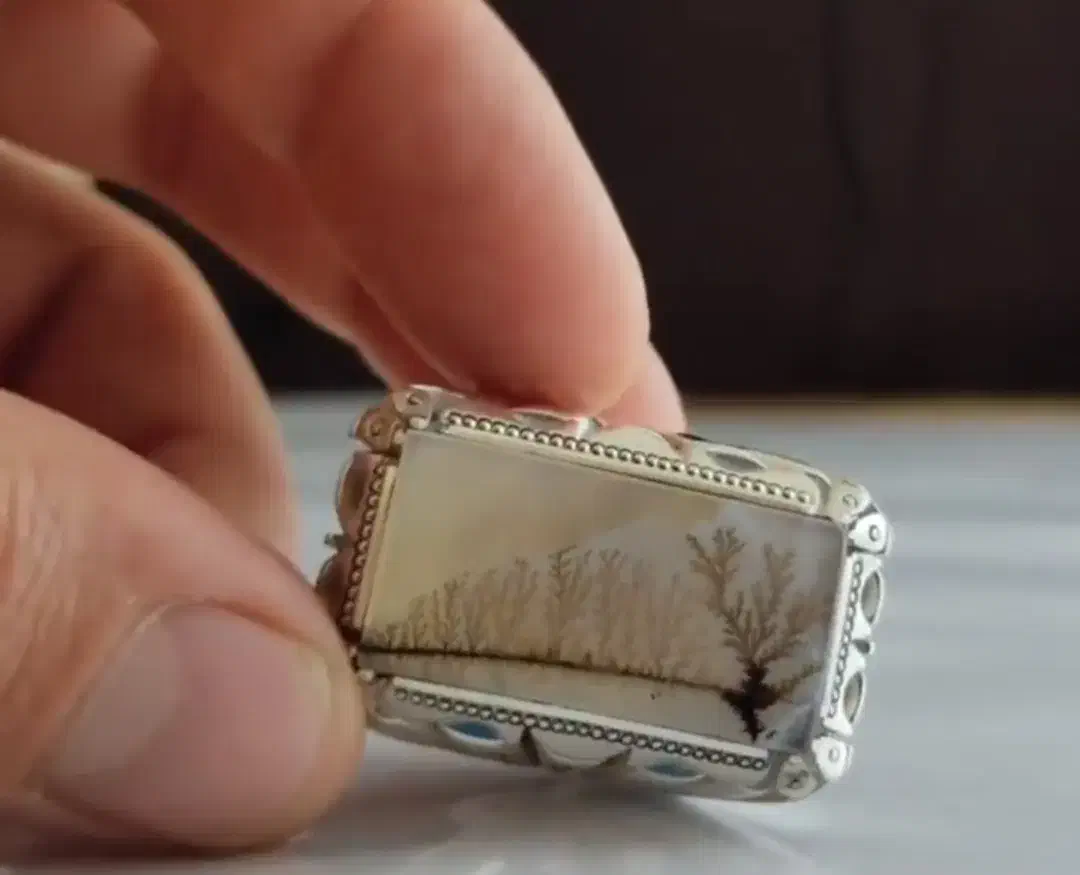 انگشتر نقره سنگ شجر کلکسیونی|جواهرات|کرمان, |دیوار