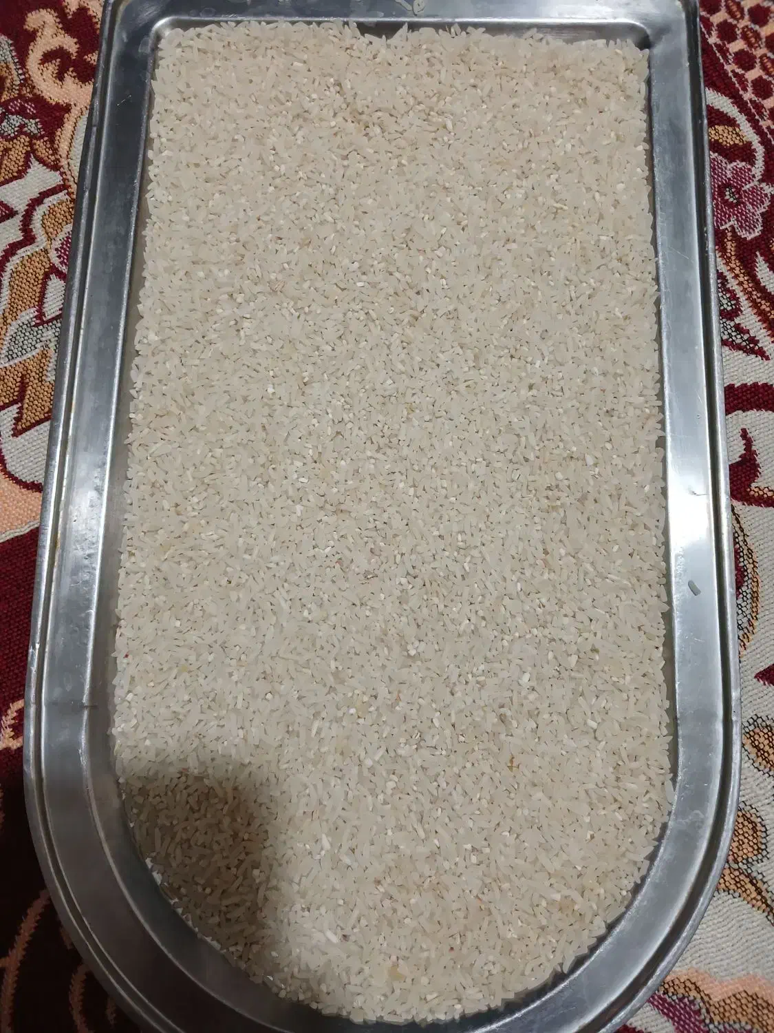 برنج شمال|خوردنی و آشامیدنی|الوند, |دیوار