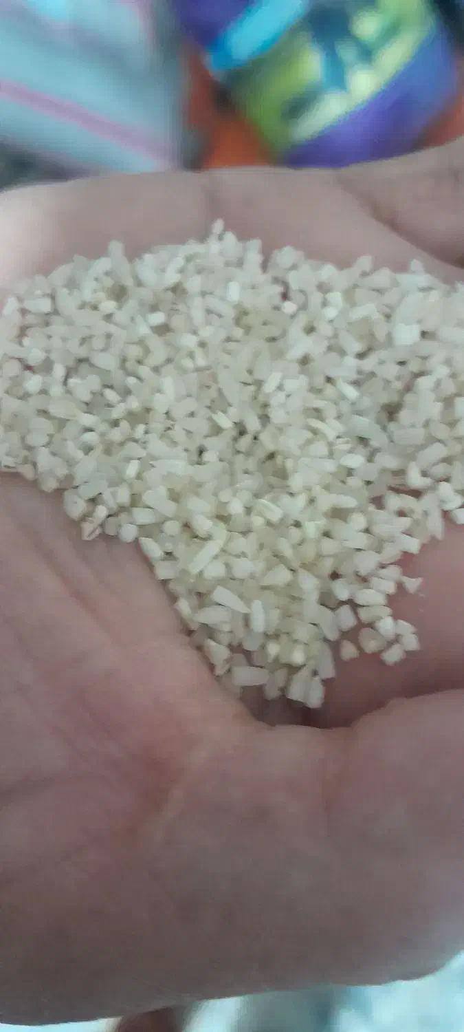 برنج نیم دانه محصول امسال|خوردنی و آشامیدنی|کوهدشت, |دیوار