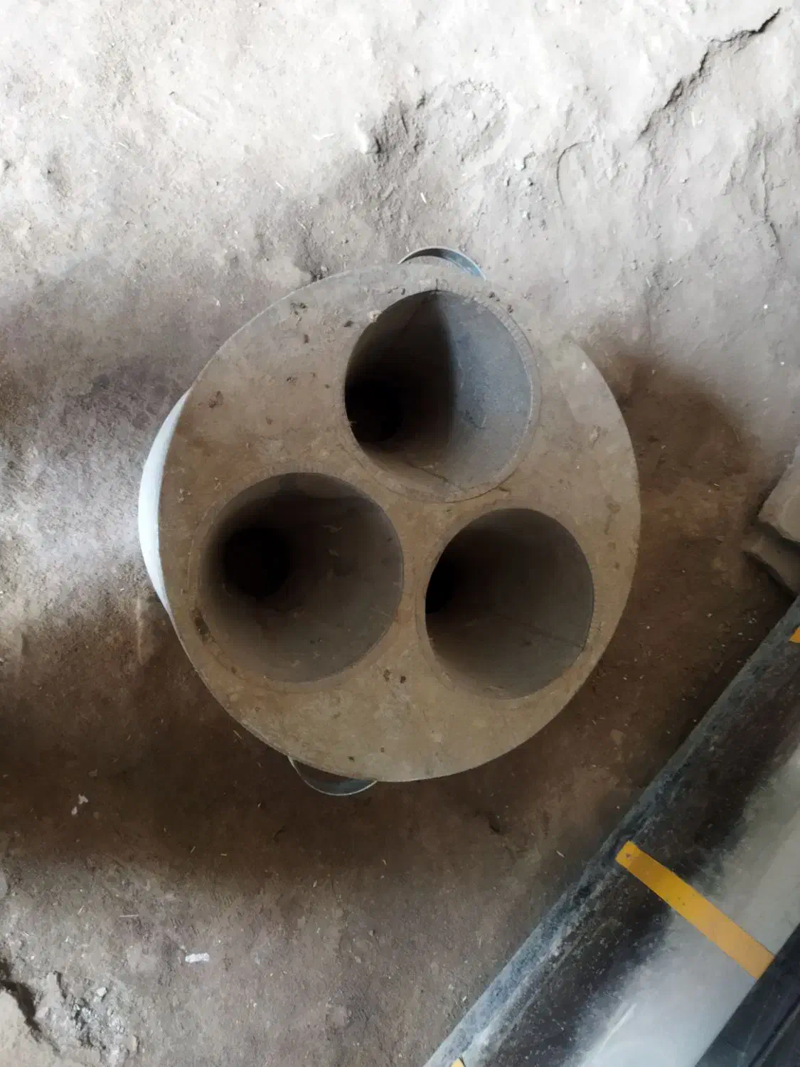 جامرغی وجاخونی|لوازم جانبی حیوانات|امام, |دیوار