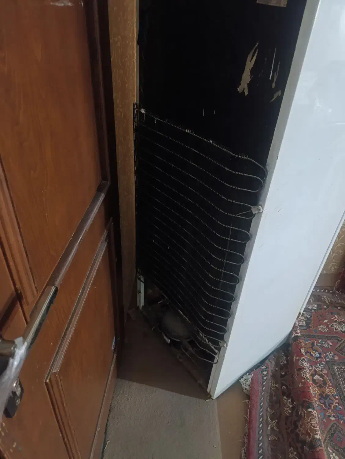 یخچال|یخچال و فریزر|مشهد, ولیعصر (شهرک غرب)|دیوار