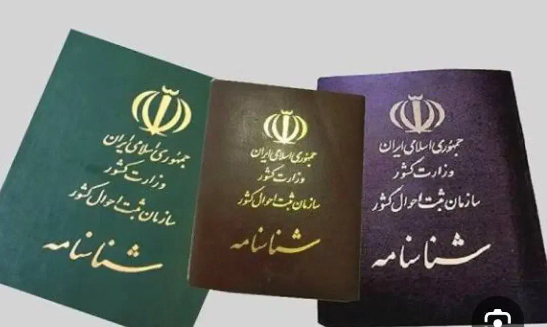 یک عدد شناسنامه گم شده|اشیا|میاندوآب, |دیوار