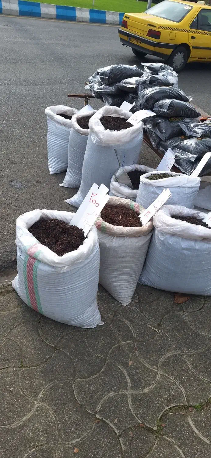 چای لاهیجان عرضه کننده مرغوبترین چای طبیعی|گل و گیاه طبیعی|بندر انزلی, کلیور|دیوار