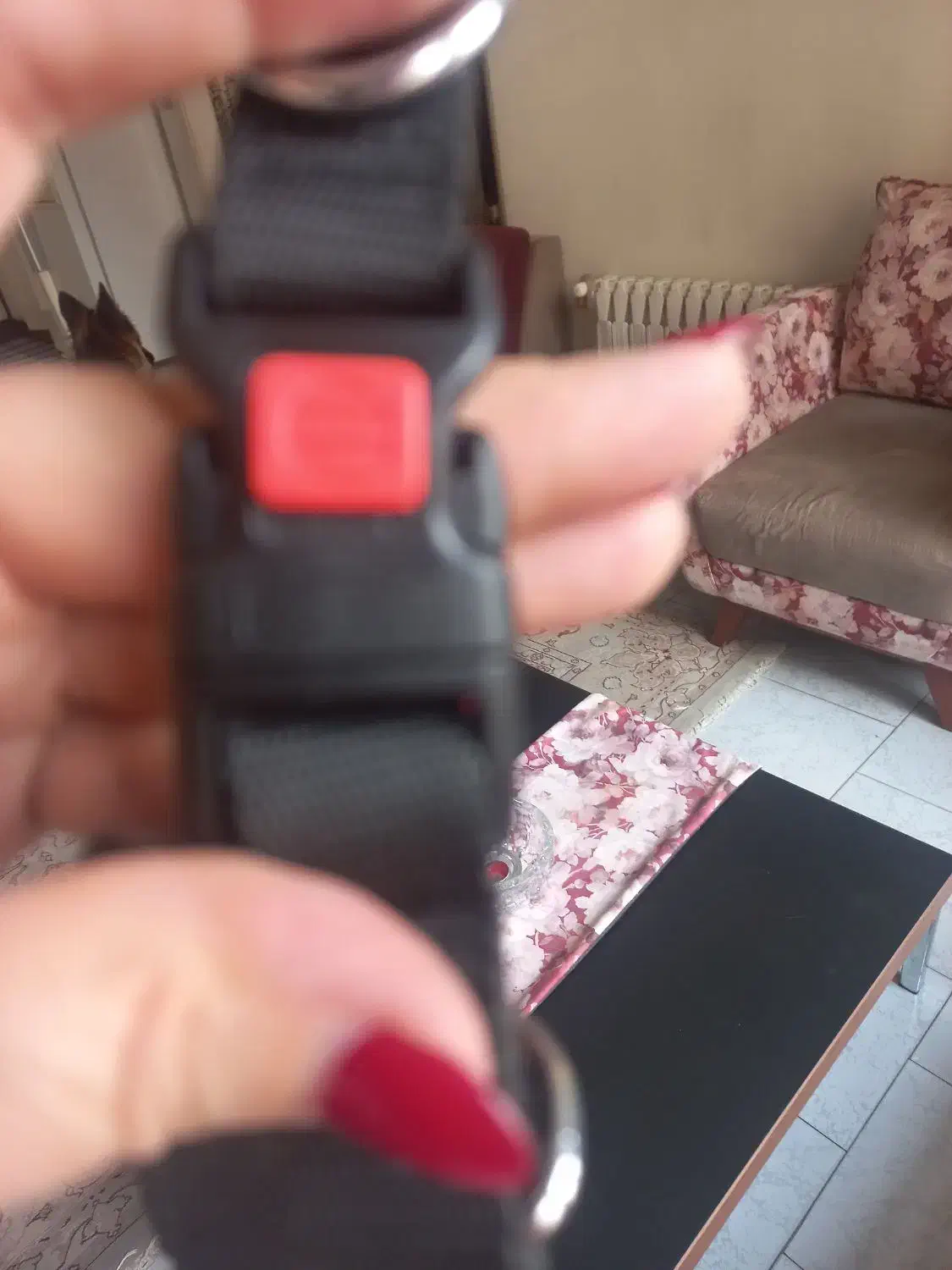 قلاده پرانگ کالر|لوازم جانبی حیوانات|تهران, پردیسان|دیوار