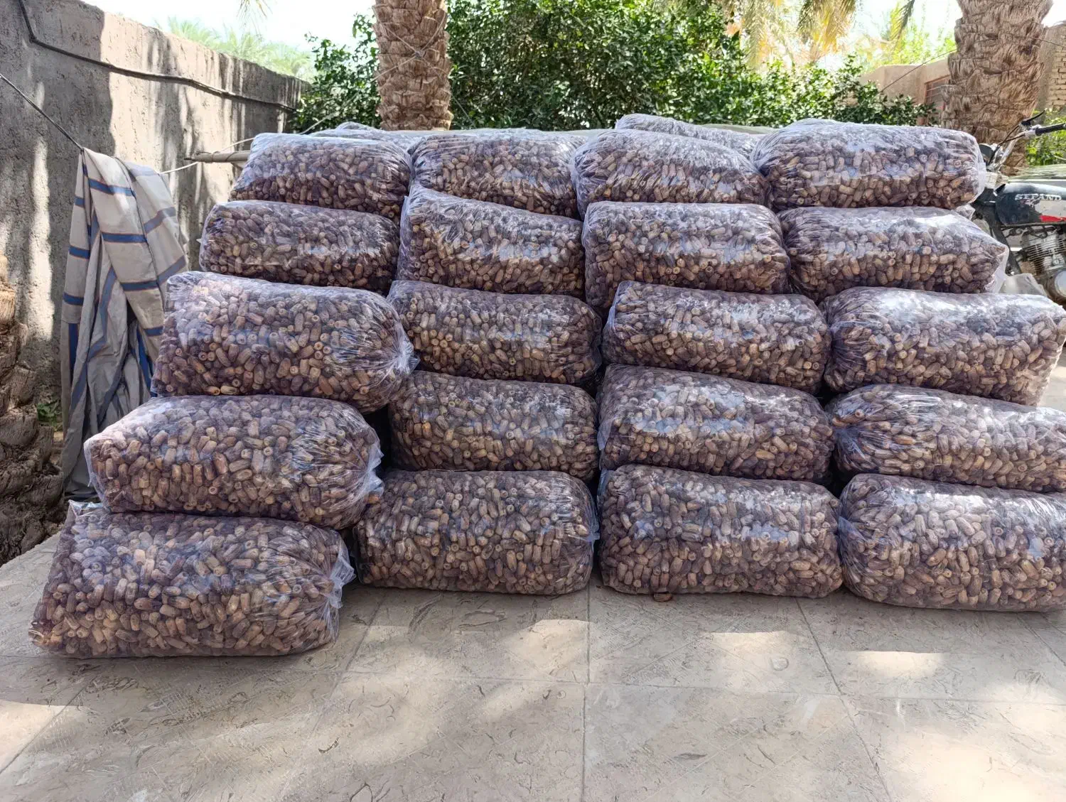 خرما سنگ شکن|حراج|فهرج, |دیوار