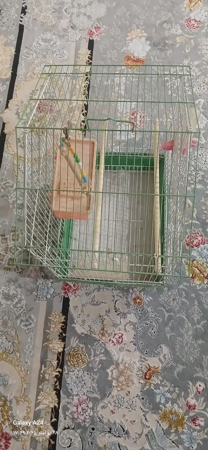 قفس|لوازم جانبی حیوانات|کرج, حصارک پایین|دیوار