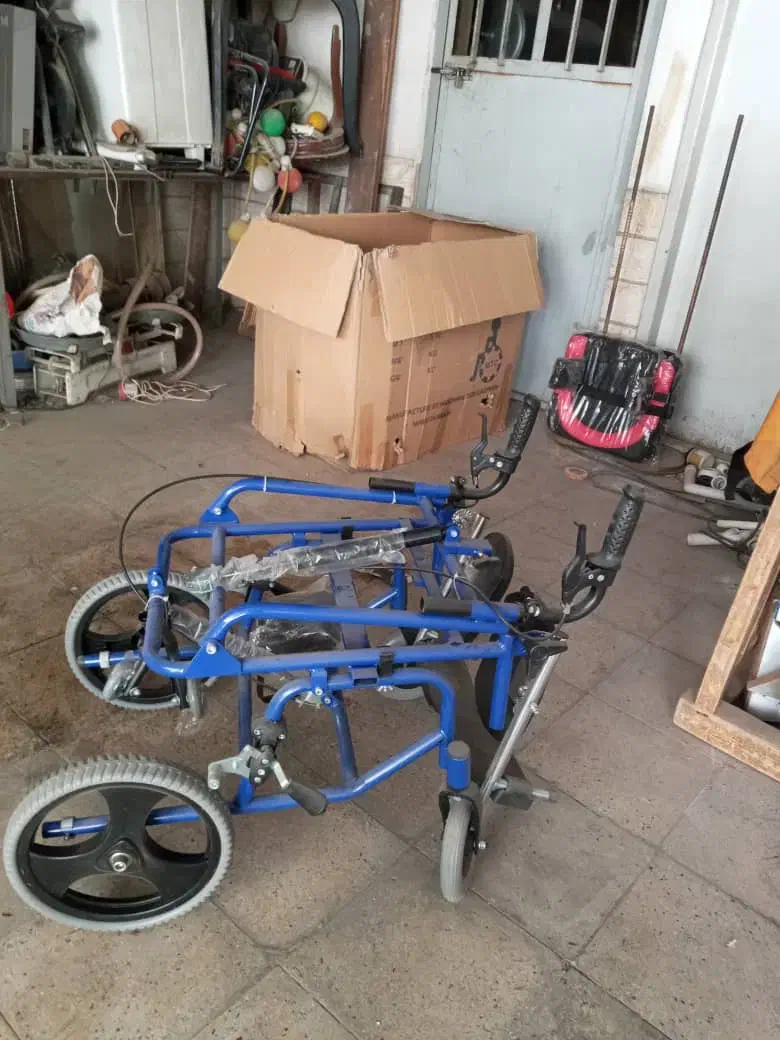 ویلچر نوجوان سی پی موژان طب|آرایشی، بهداشتی، درمانی|ری, علایین|دیوار