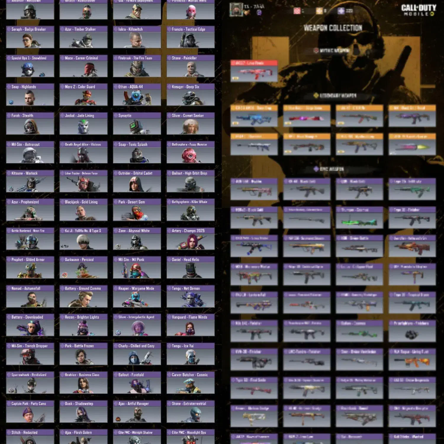 اکانت کالاف مخصوص پلی|کنسول، بازی ویدئویی و آنلاین|نجف‌آباد, حومه نجف آباد|دیوار