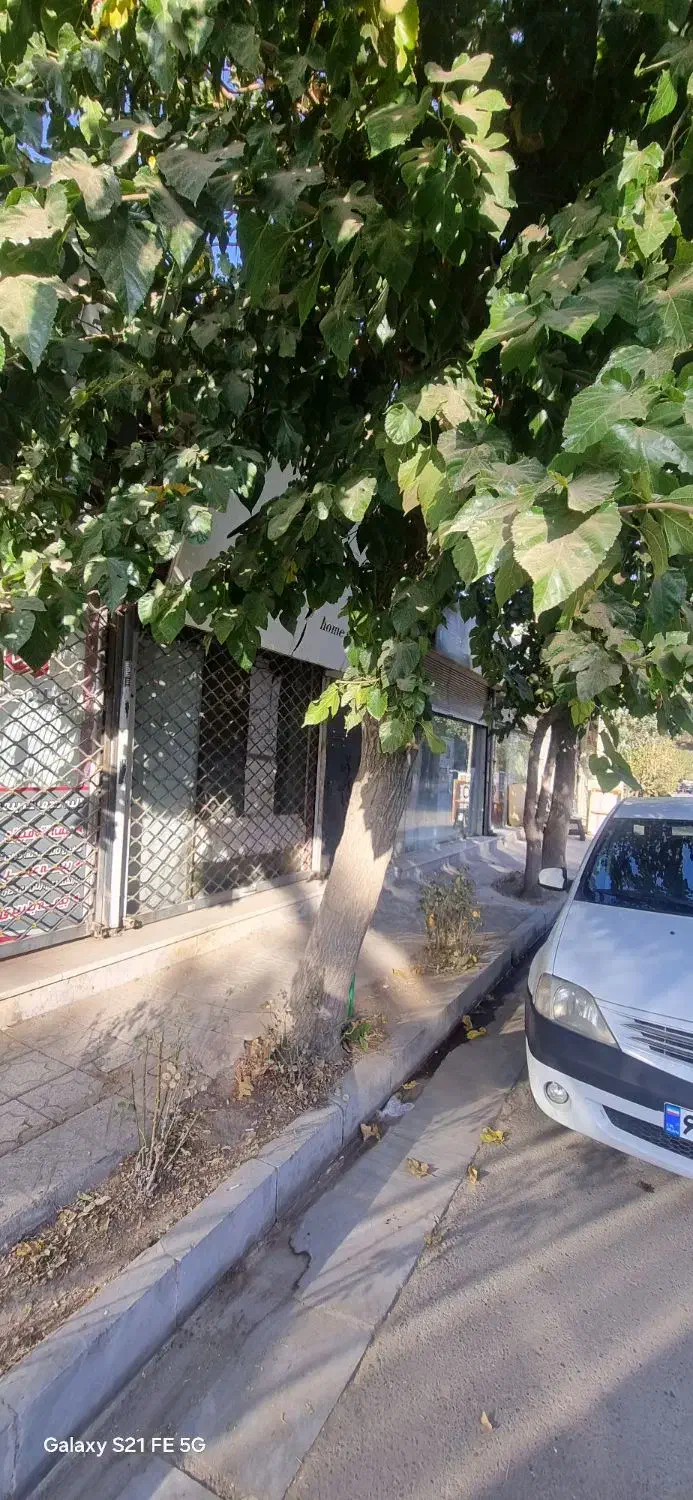 مغازه|اجارهٔ مغازه و غرفه|کرج, کیانمهر|دیوار