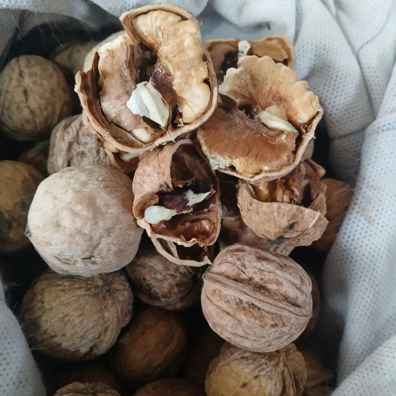 گردو درجه یک|خوردنی و آشامیدنی|تربتحیدریه, بالا ولایت|دیوار