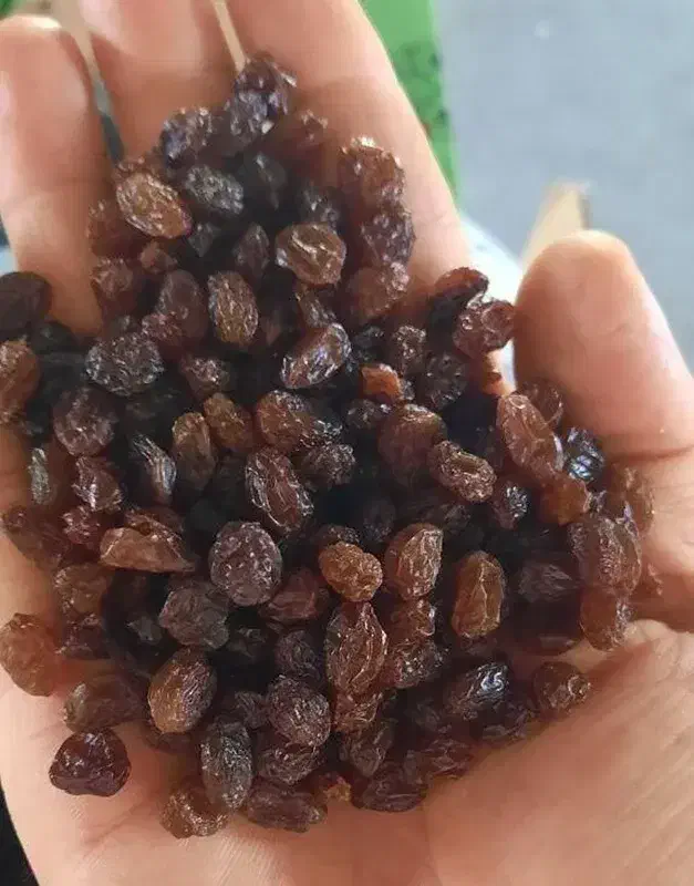 کشمش تازه و طبیعی|خوردنی و آشامیدنی|گلستان (تهران), |دیوار