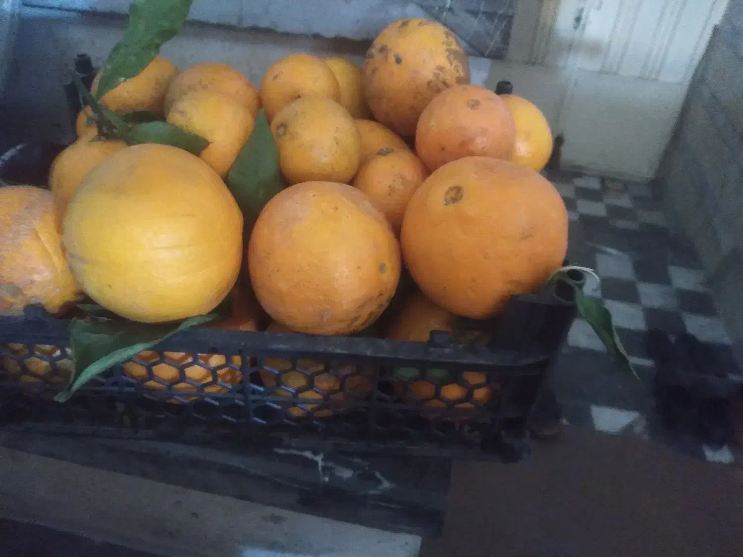 حراج پرتقال|خوردنی و آشامیدنی|فرخ‌شهر, |دیوار