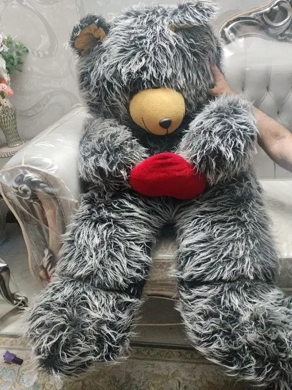 عروسک خرس|اسباب‌بازی بچه|ری, دیلمان|دیوار