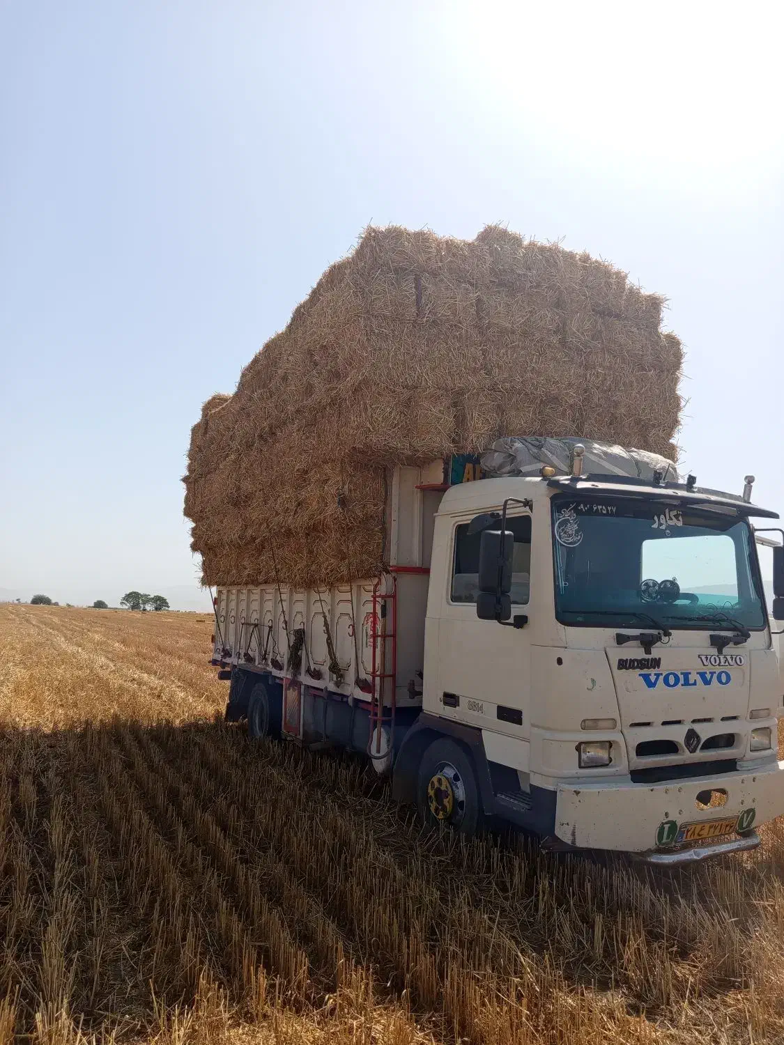 فروش کاه و پرس|عمدهفروشی|سبزوار, قصبه غربی|دیوار