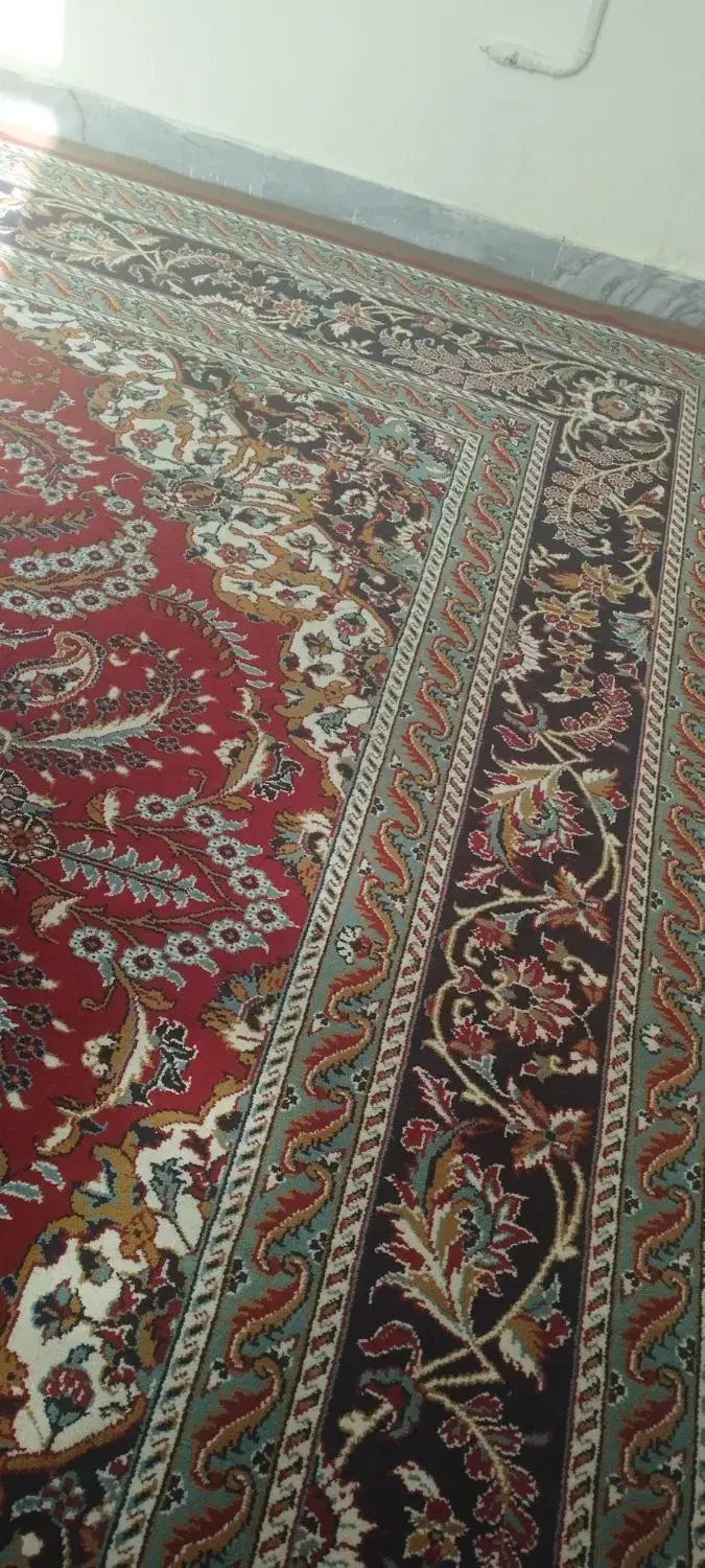 فرش مشهد|فرش|شیروان (خراسان), |دیوار