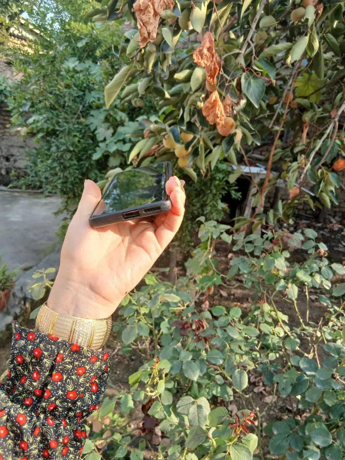 گوشی فروشی|موبایل|علی‌آباد کتول, |دیوار