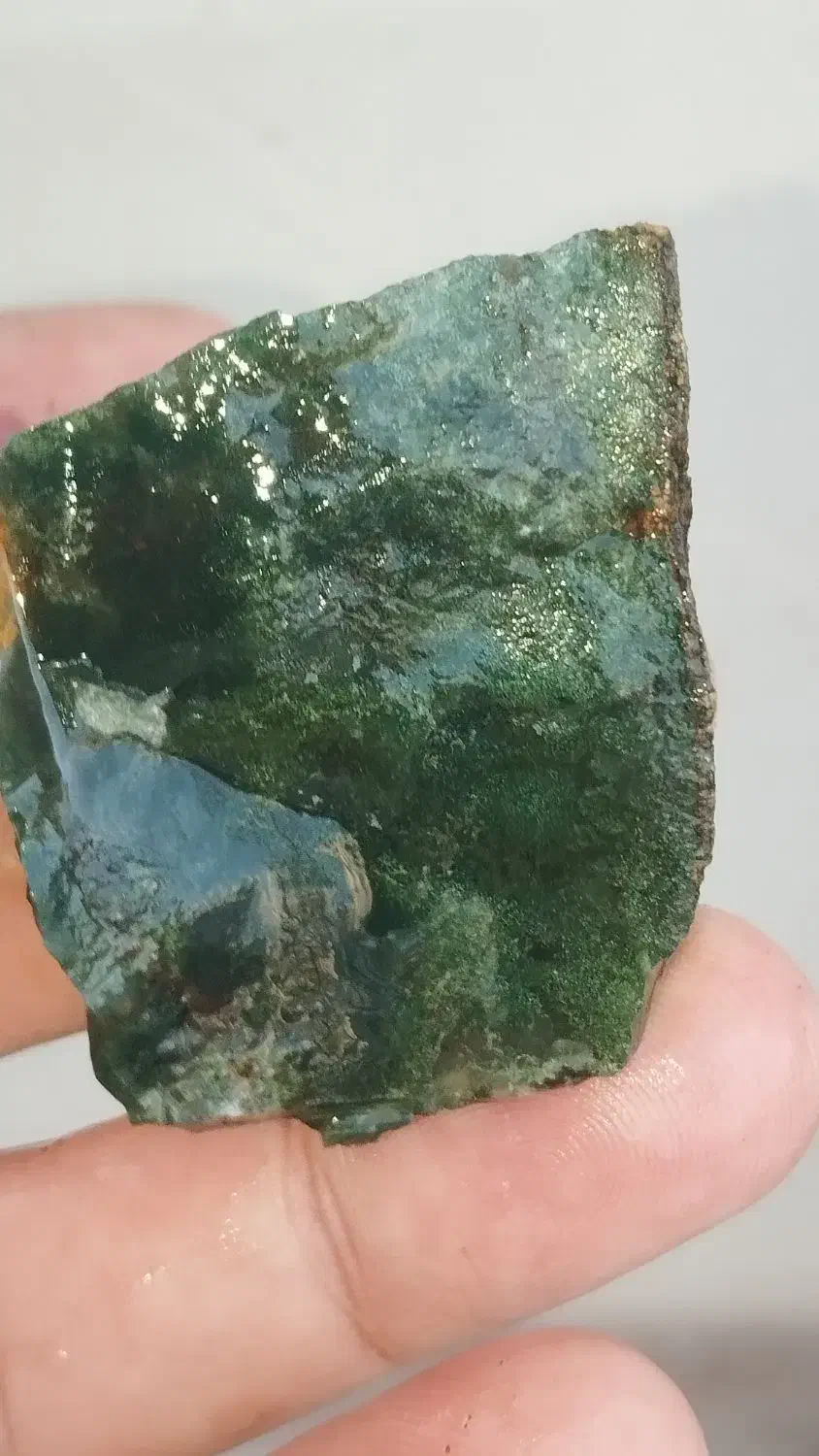 سبز خزه ای|کلکسیون و سرگرمی|تهران, شوش (باغ آذری)|دیوار