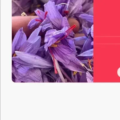 خرید و فروش زعفران و مذاکره از طرف شما|فعالیت داوطلبانه|تربت جام, معدآباد|دیوار