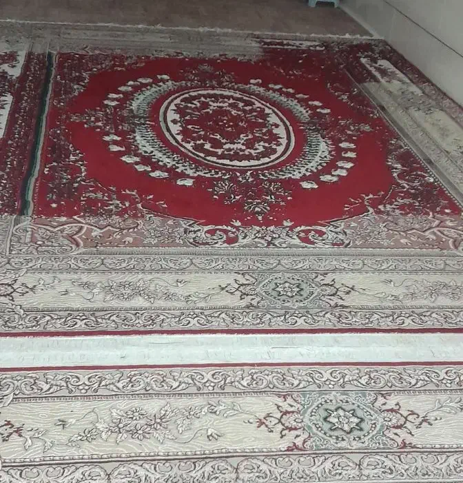 قالی ۱۲ متری|فرش|کارون, |دیوار