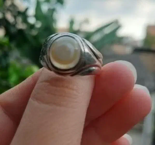 انگشترباباقوری نقره معاوضه قناری نر یا جوجه گرنچیک|جواهرات|گرگان, |دیوار