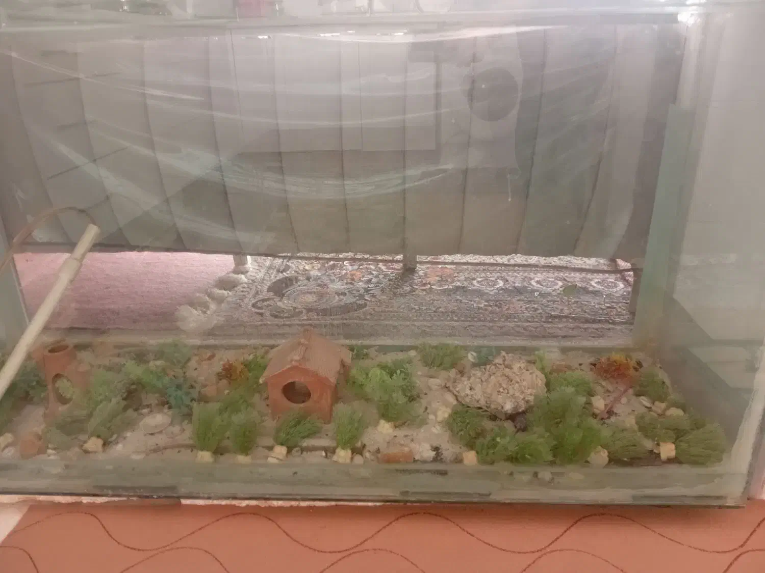 آکواریوم|ماهی|مبارکه, |دیوار