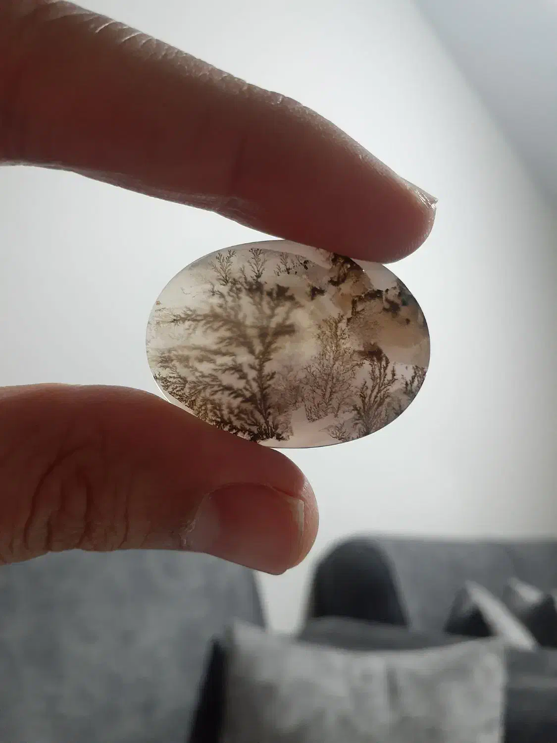 عقیق شجر یمنی فوق العاده زیبا و جذاب|جواهرات|تهران, دروازه شمیران|دیوار