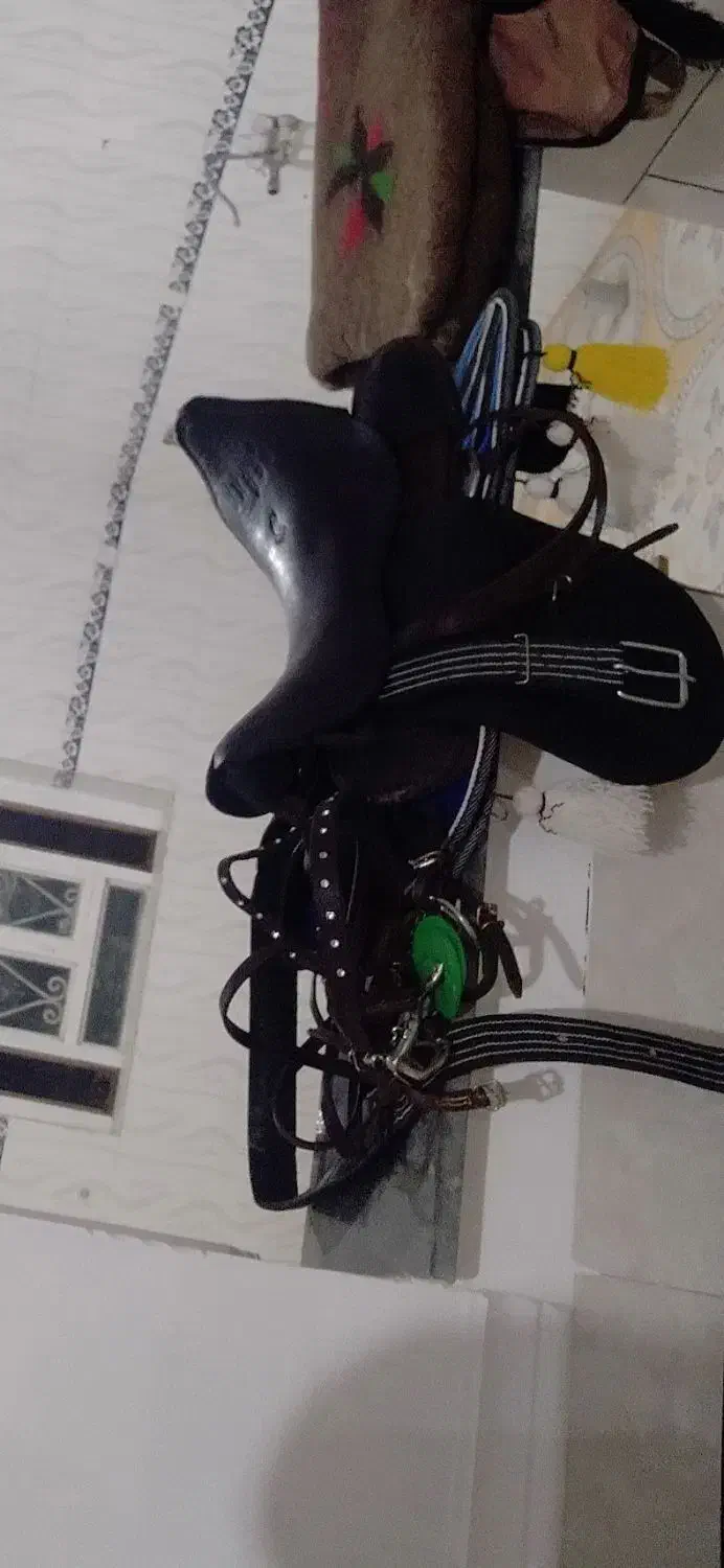 درود زین با عرق گیر با دهنه نریون ۱۵ ماه پر خون|اسب و تجهیزات اسب‌سواری|جنت, |دیوار