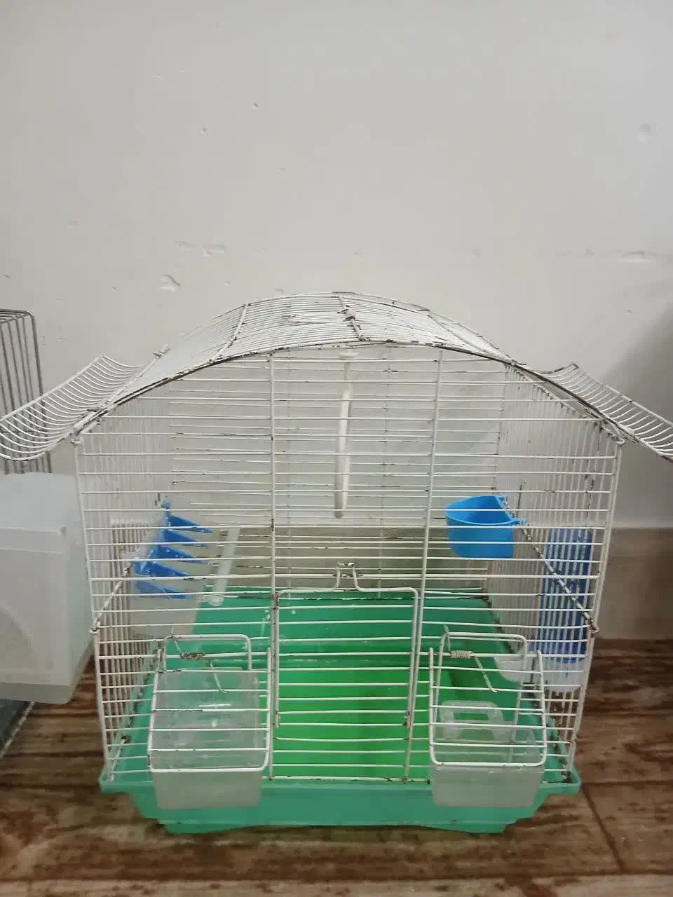 قفس و مرغ عشق|پرنده|قم, شاه سید علی|دیوار