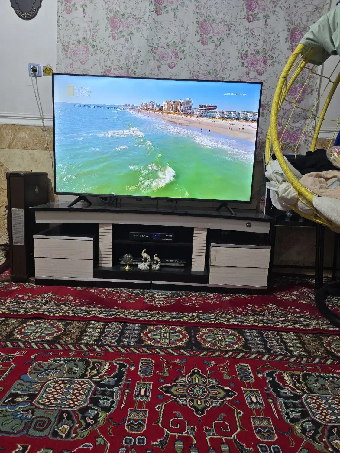 تلویزیون|تلویزیون و پروژکتور|کارون, |دیوار