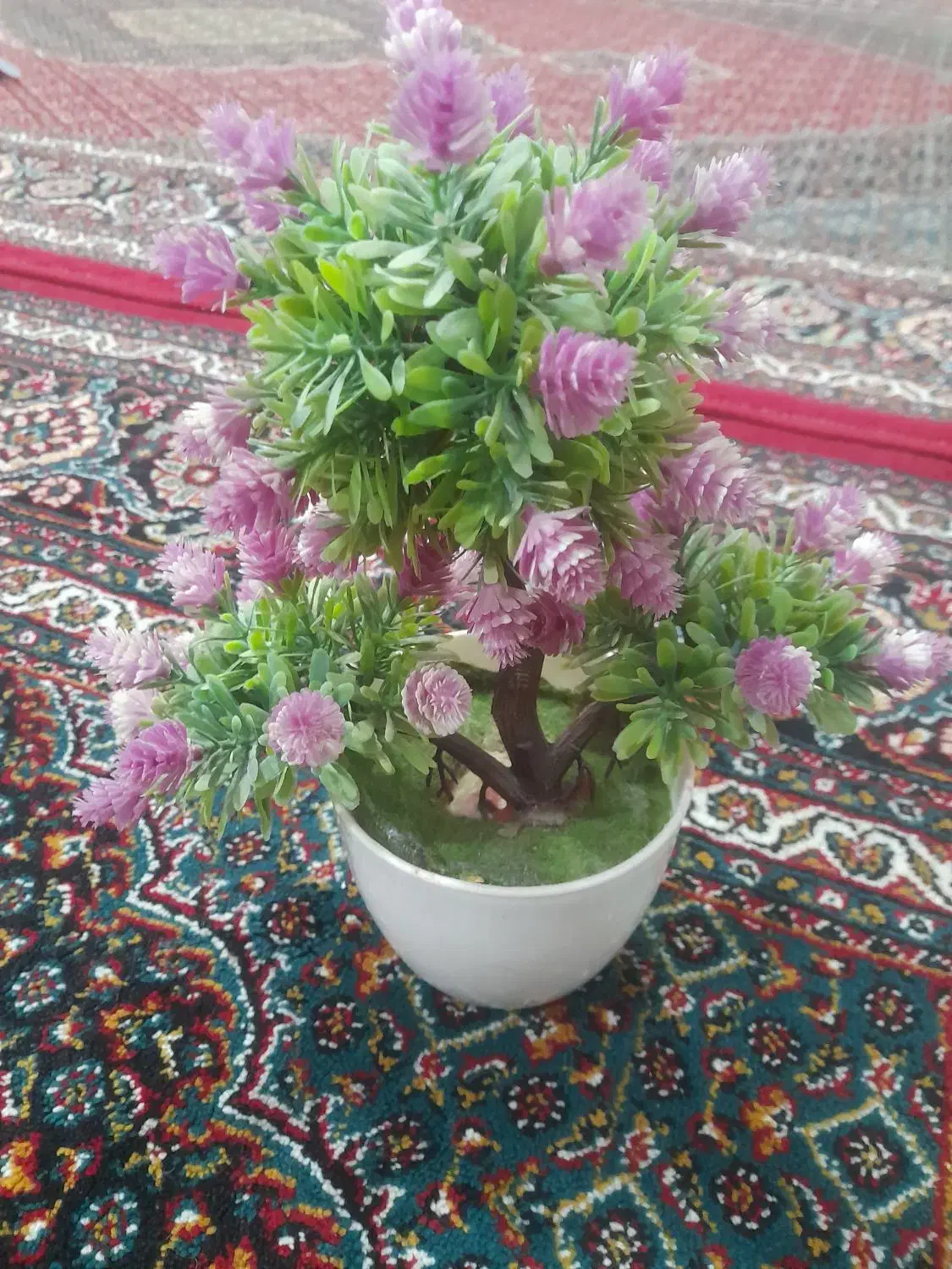 اجاره خانه|اجارهٔ خانه و ویلا|مشگین شهر, |دیوار