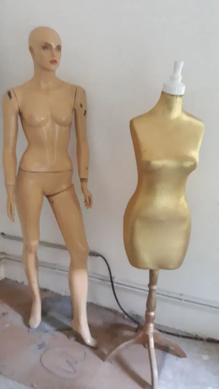 مانکن های کله و بدن ایتالیایی|آرایشی، بهداشتی، درمانی|اردبیل, |دیوار