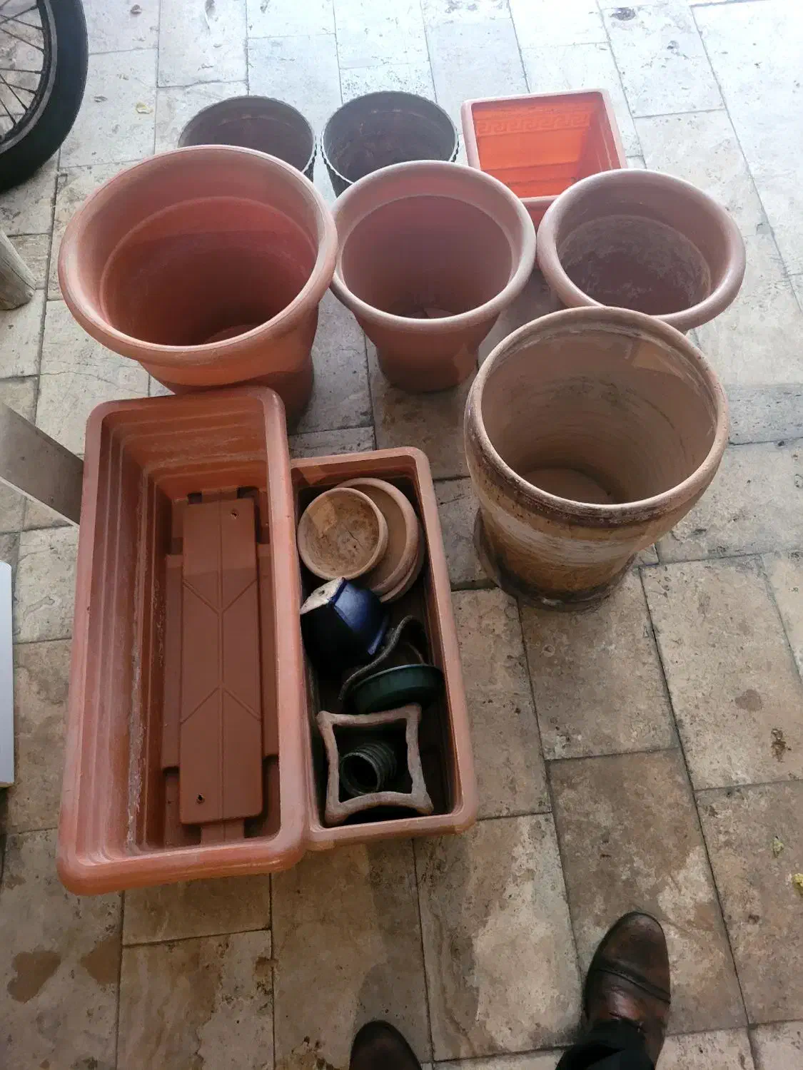 گلدان|گل و گیاه طبیعی|تهران, حر|دیوار