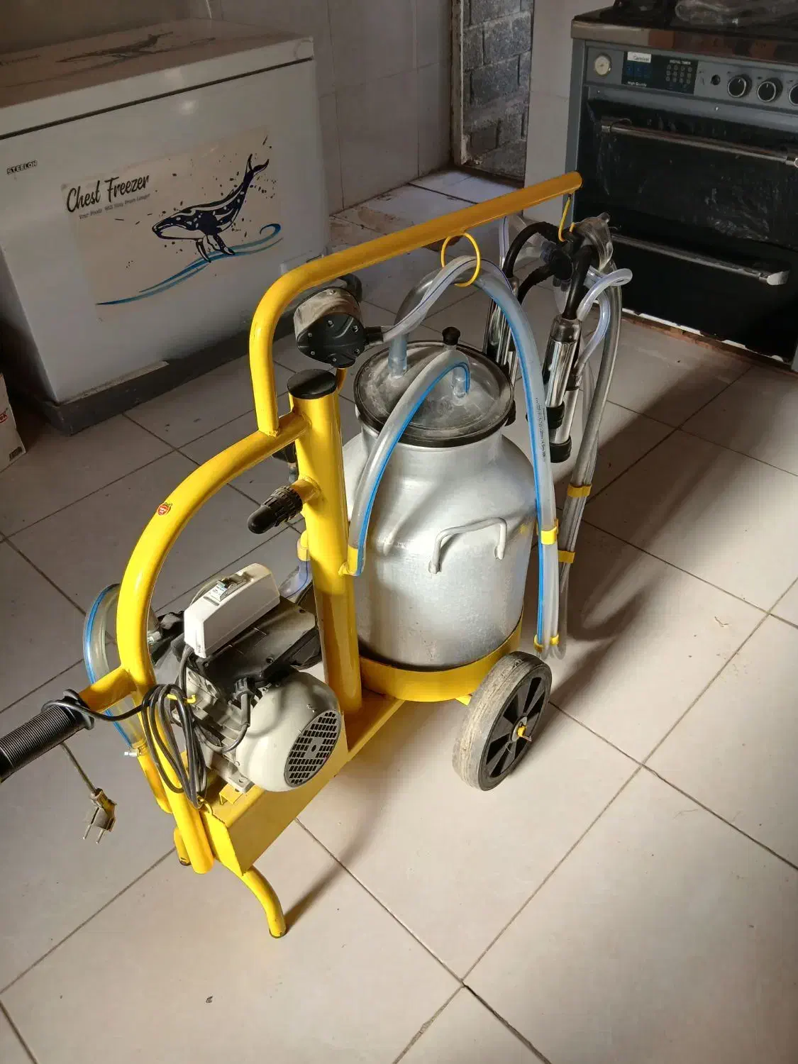 شیردوش گاوی|لوازم جانبی حیوانات|ارومیه, |دیوار