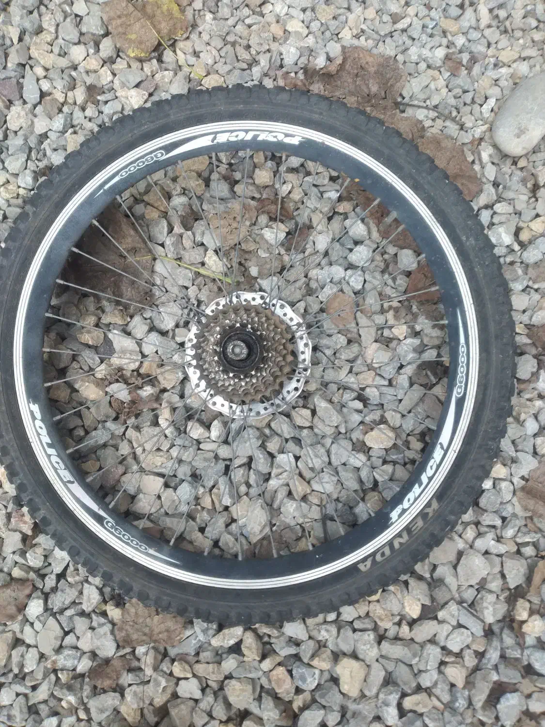 لاستیک دوچرخه|دوچرخه، اسکیت، اسکوتر|بندر انزلی, پیل علی باغ|دیوار