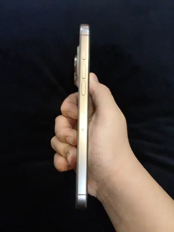 Iphone 16 pro max|موبایل|تهران, مرزداران|دیوار