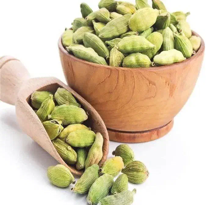 آموزش آنلاین ورایگان|استخدام بازاریابی و فروش|صدرا-فارس, فاز ۲|دیوار