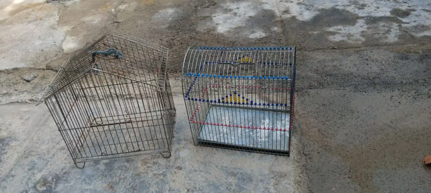 قیمت 400000هزار|لوازم جانبی حیوانات|سقز, |دیوار