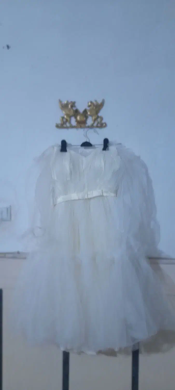 لباس مجلسی|لباس|قم, شهر قائم|دیوار