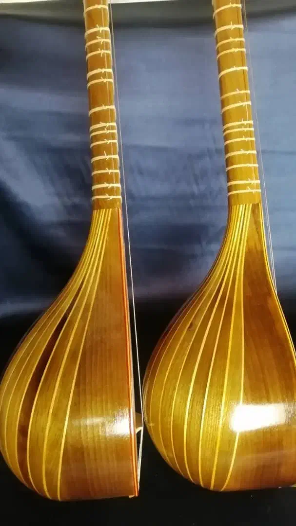 سه تار خوش صدا شاهرخی|سازهای سنتی|گلبهار, شهر جدید گلبهار|دیوار