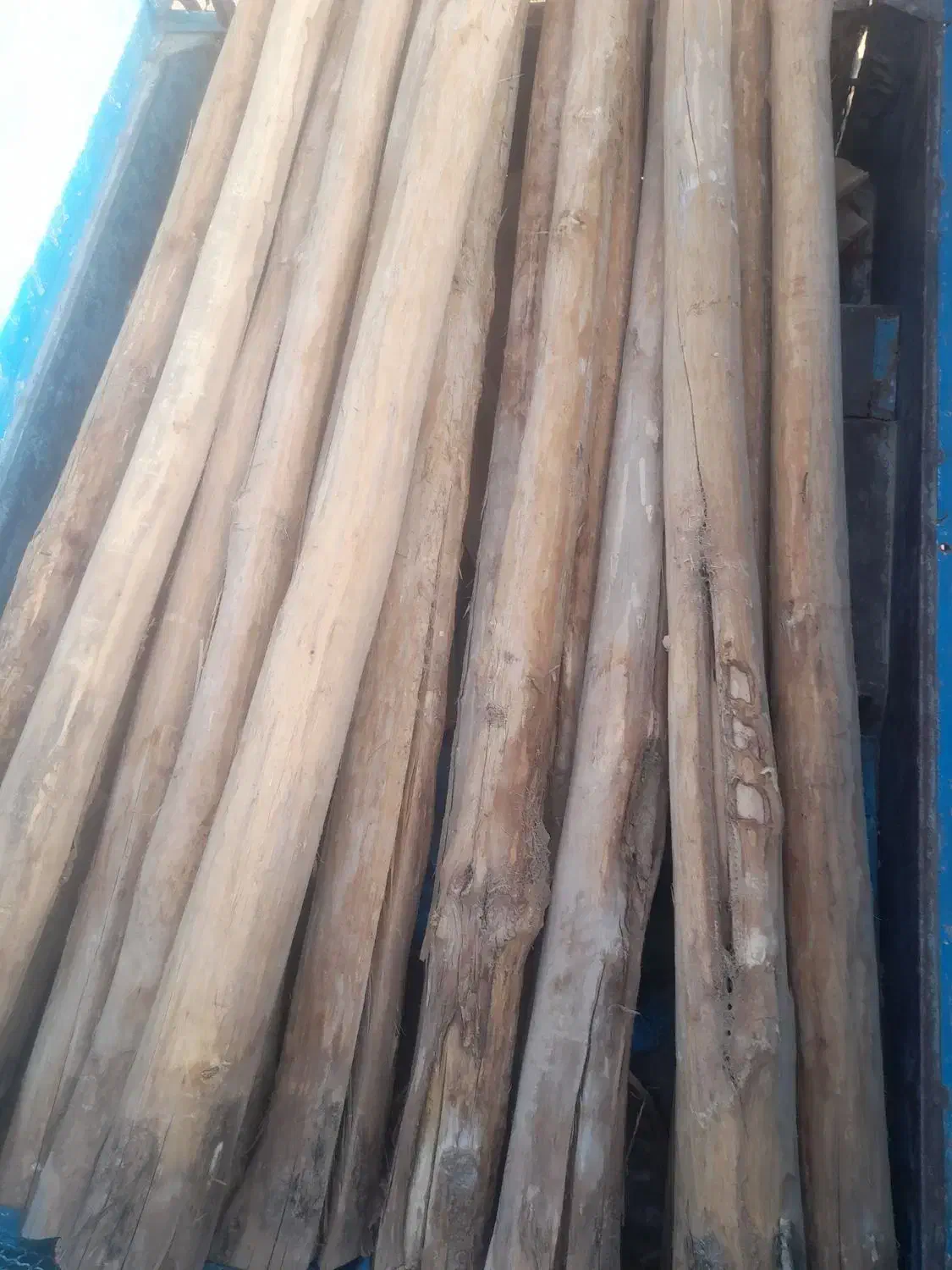 خریدار چوب کار و زغالی|خدمات باغبانی و درختکاری|سمیرم, |دیوار