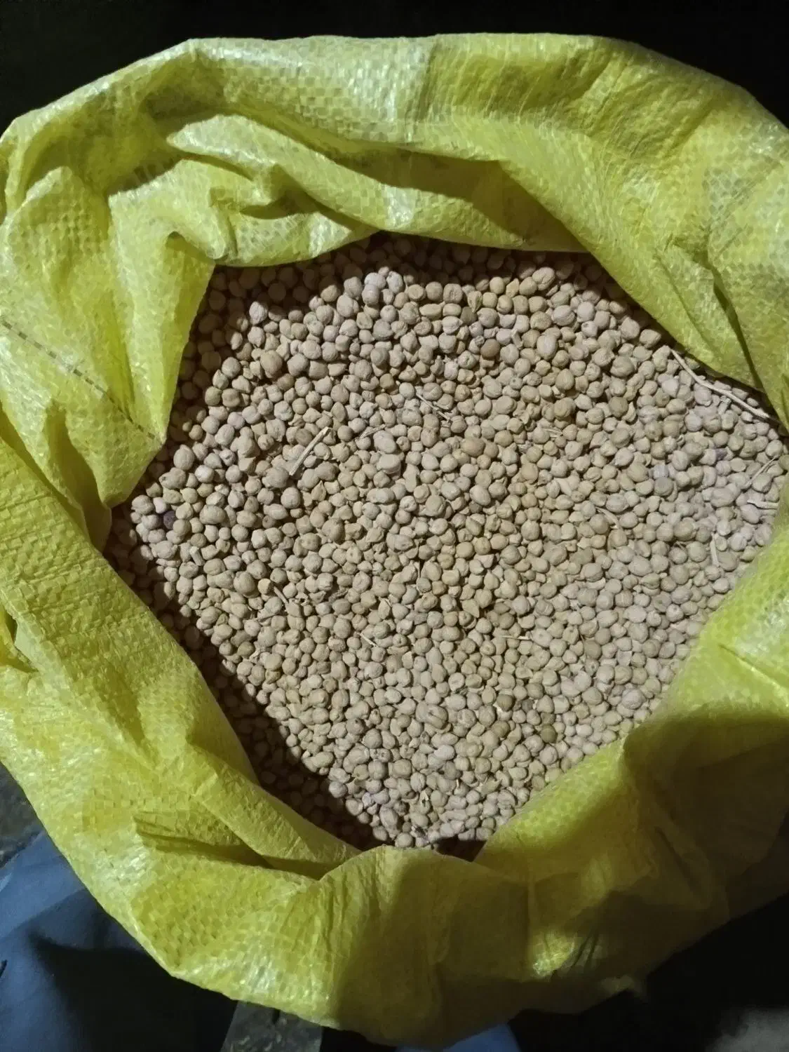 نخود دیم|خوردنی و آشامیدنی|تایباد, |دیوار