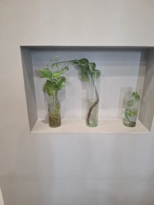 استخدام حسابدار|استخدام مالی، حسابداری، حقوقی|نجفآباد, شهرک صنعتی نجف آباد ۲|دیوار