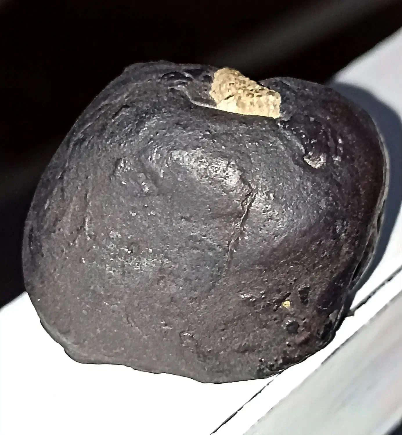 شهاب|کلکسیون اشیاء عتیقه|قزوین, |دیوار